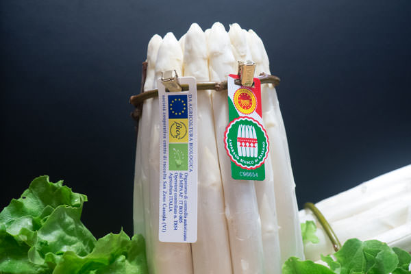 Asparago bianco di Bassano DOP biologico