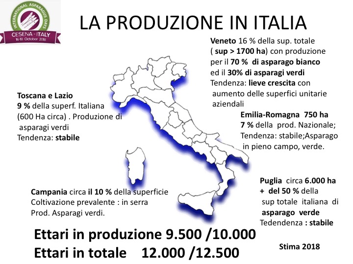 Dati sulla produzione di asparagi in Italia nel 2018.
