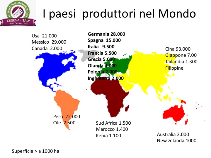 Paesi produttori di asparagi nel mondo, terreni coltivati.